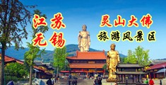 亚洲毛茸茸的逼江苏无锡灵山大佛旅游风景区