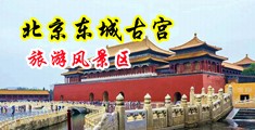 小穴喷水中国北京-东城古宫旅游风景区