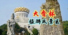 啊好大嗯操我啊网站视频中国浙江-绍兴大香林旅游风景区